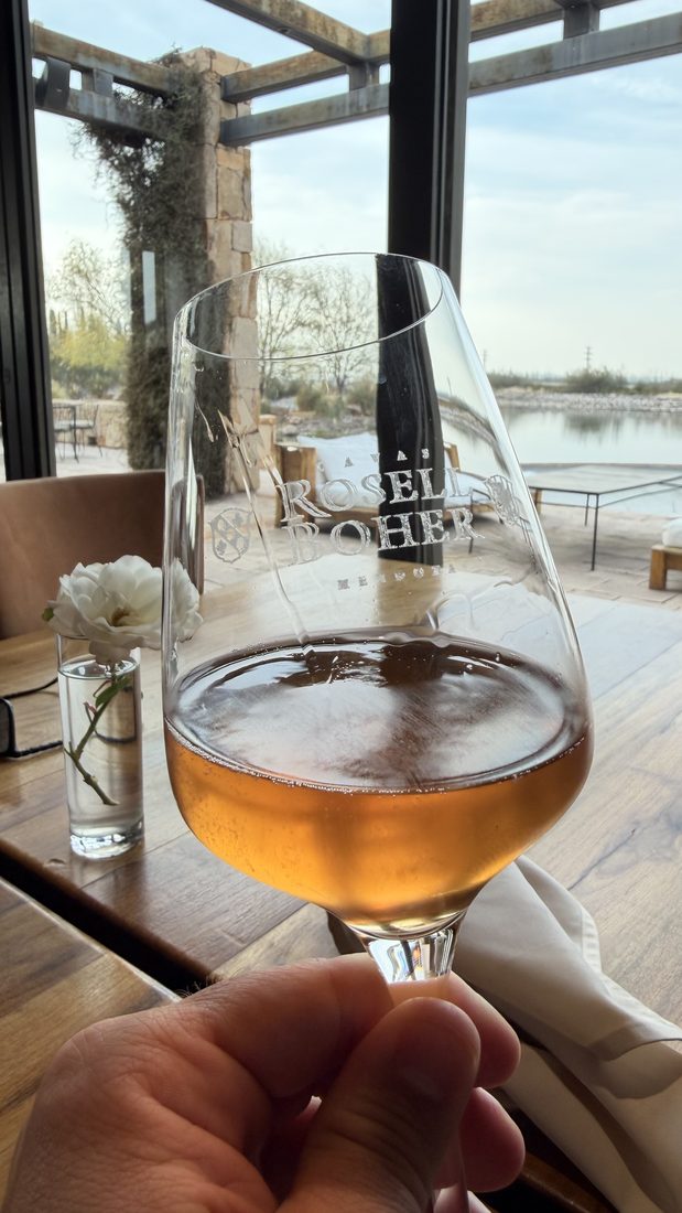 A glass of sparkling with the vineyard behind