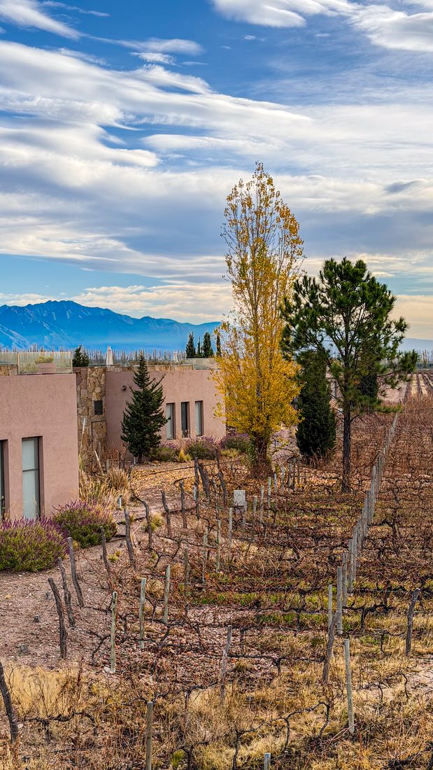 Rosell Boher Lodge against the Andes