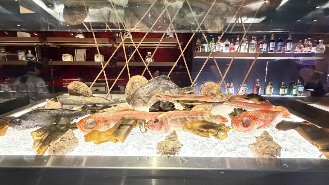The lit fish display case at the sushi bar
